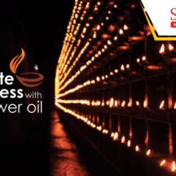 pure sunflower oil price in chennai