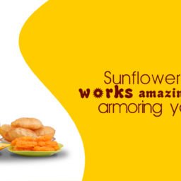 best cooking oil manufacturers in chennai