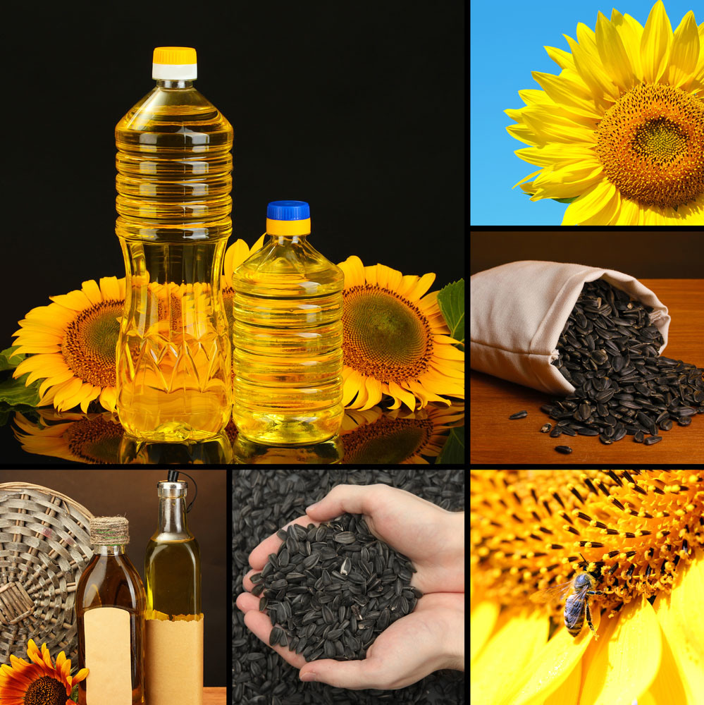 Can You Use Sunflower Oil For Cooking